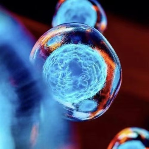 針對脊髓損傷工程化改造外泌體